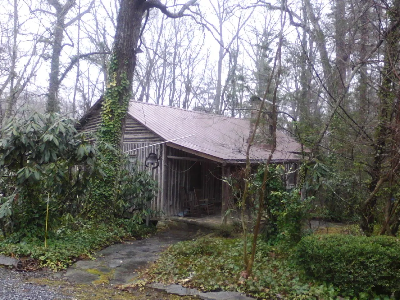 Weathered metal roof on an old board sided cabin in the woods in La Valle
